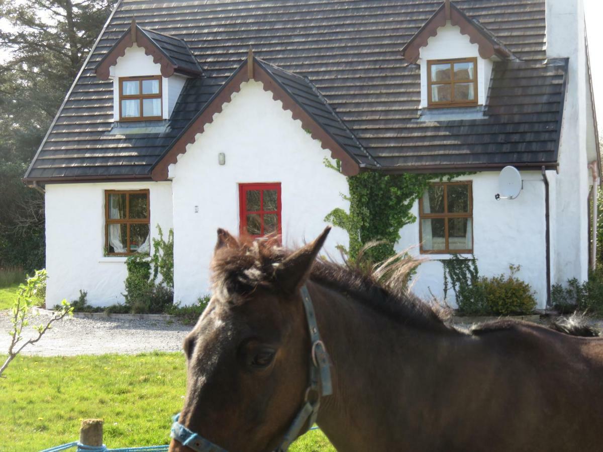 Letterfrack Mountain Farm Cottage On Farm In Village Centre Luaran gambar